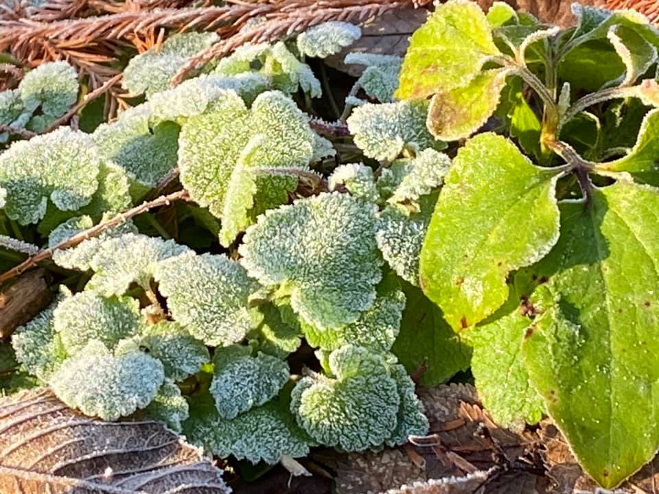 Training Martial Arts 01/04/2021: The Reality of Training Martial Arts…Drills