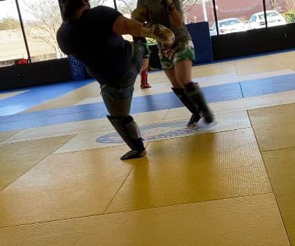 Training Martial Arts 01/18/2021: Train around your&nbsp;schedule.